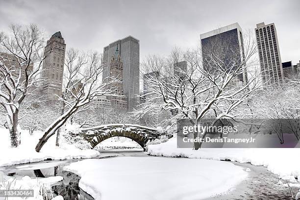 winter in new york city - central park snow stock pictures, royalty-free photos & images