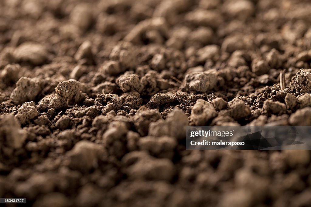 Soil