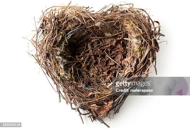 love の巣 - animal nest ストックフォトと画像