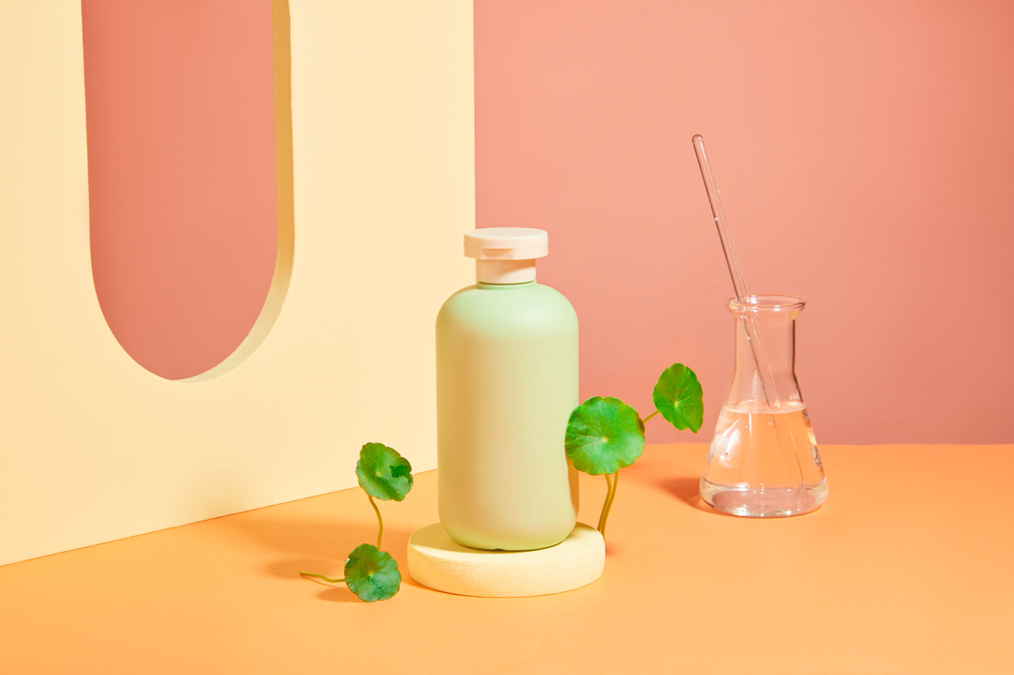 CENTELLA CONCEPT CENTELLA CONCEPT