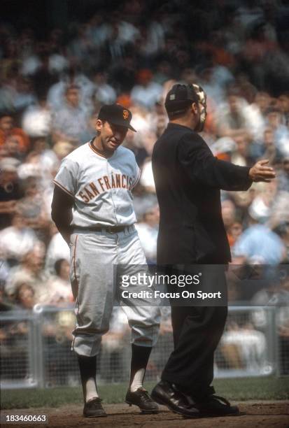 Manager Alvin Dark of the San Francisco Giants argues with an umpire during an Major League Baseball game circa 1963. Dark managed for the Giants...