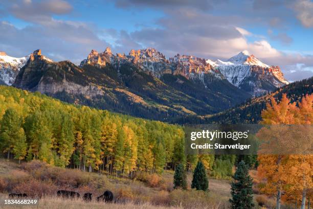 kebler pass in colorado - vail colorado stock-fotos und bilder