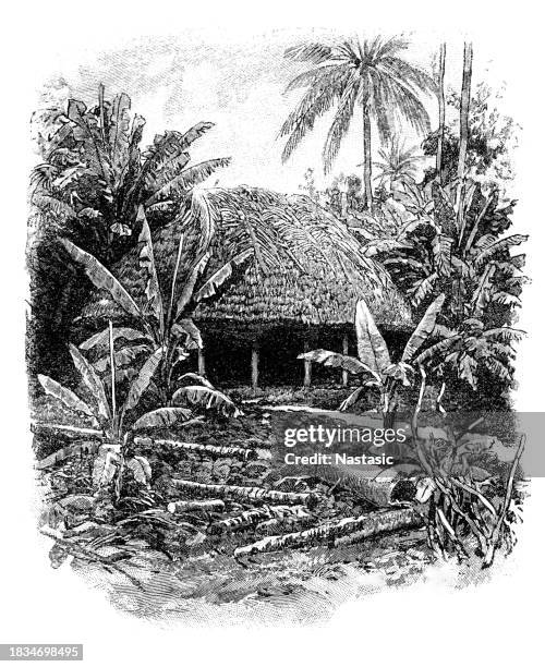 samoan roundhouse - apia samoa stock illustrations
