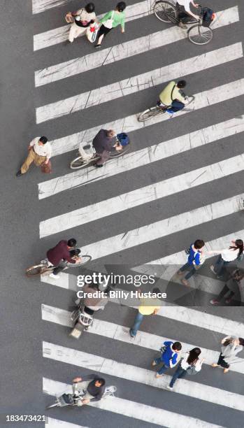 people walking and biking on a striped crosswalk - pedestrian safety stock pictures, royalty-free photos & images