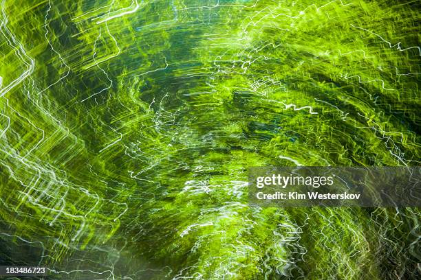 green and white - westerskov stock pictures, royalty-free photos & images