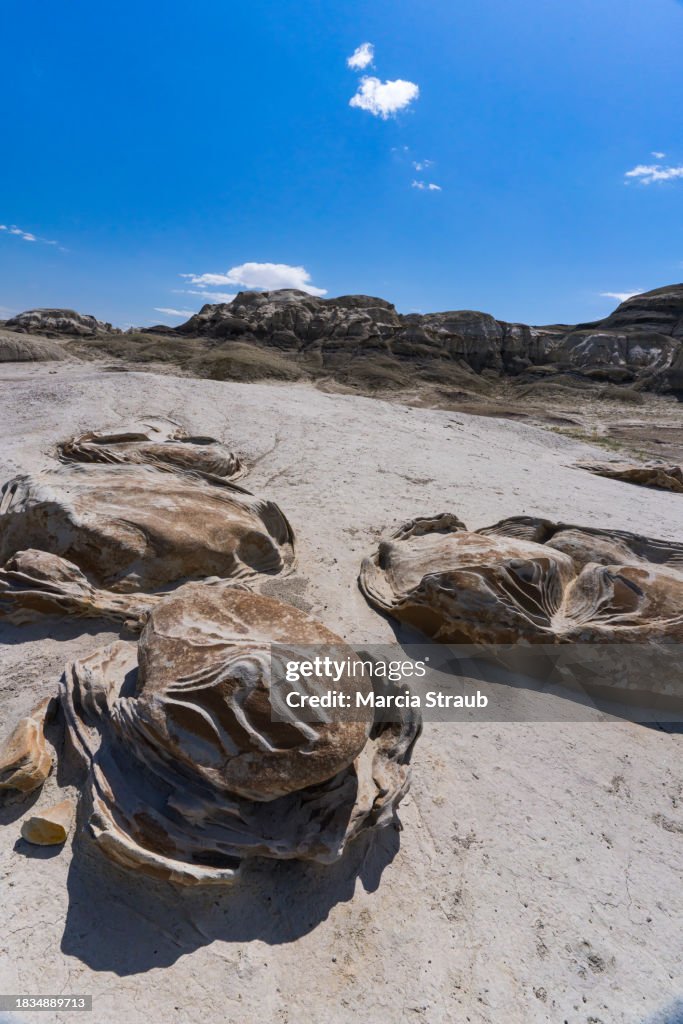 The Alien Egg Hatchery Or Cracked Eggs Of Bistidenazin Wilderness Area ...