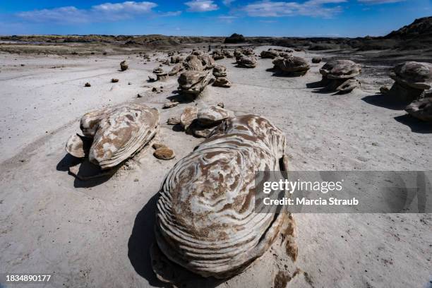 89 Alien Egg Stock Photos, High-Res Pictures, and Images - Getty Images