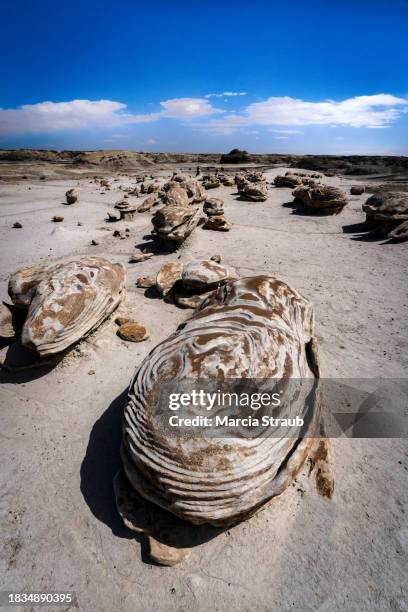 78 Alien Eggs Stock Photos, High-Res Pictures, and Images - Getty Images