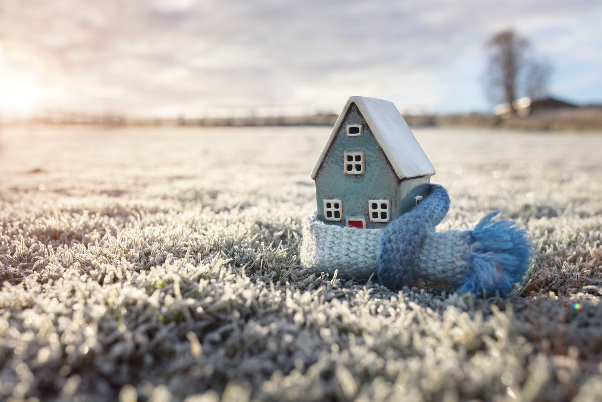 winter insurance