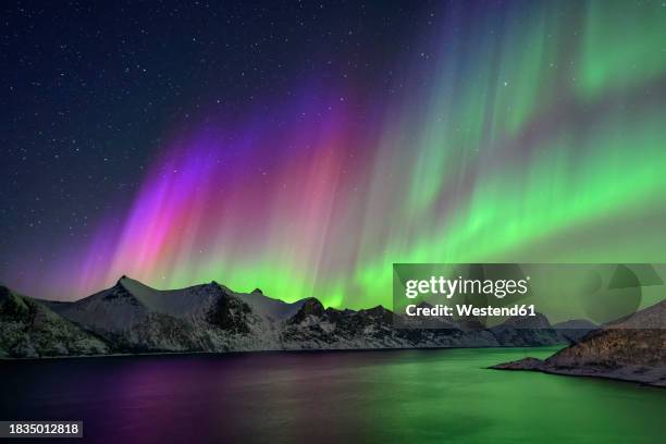 norway, troms og finnmark, green and purple northern lights over mefjord - norway stock pictures, royalty-free photos & images