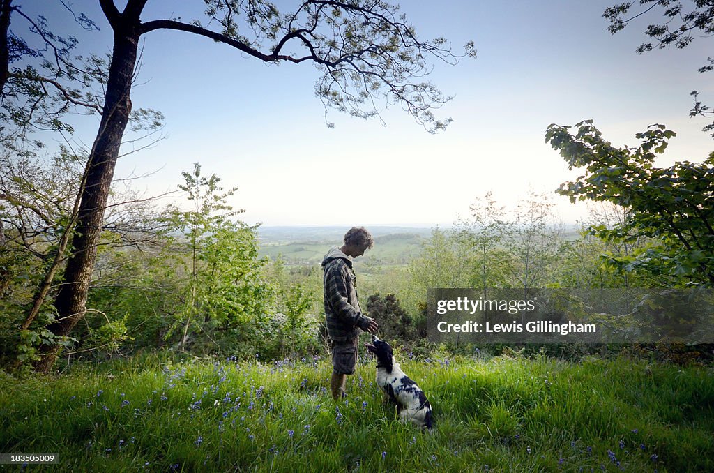 Spaniel Sit View