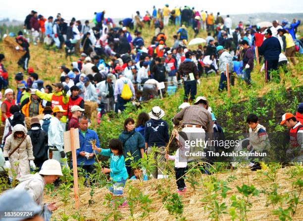Some 3,000 volunteer workers plant young trees at the mouth of Mano River on October 6, 2013 in Minamisoma, Fukushima, Japan. 20,000 trees are...