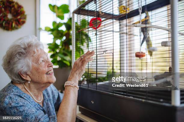 happy senior woman looking at bird in cage at home - birdcage bildbanksfoton och bilder