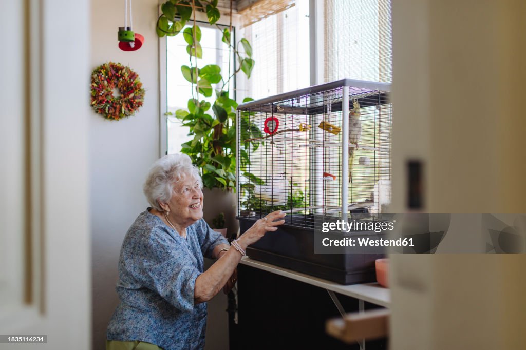Smiling senior woman looking at bird in cage near window at home