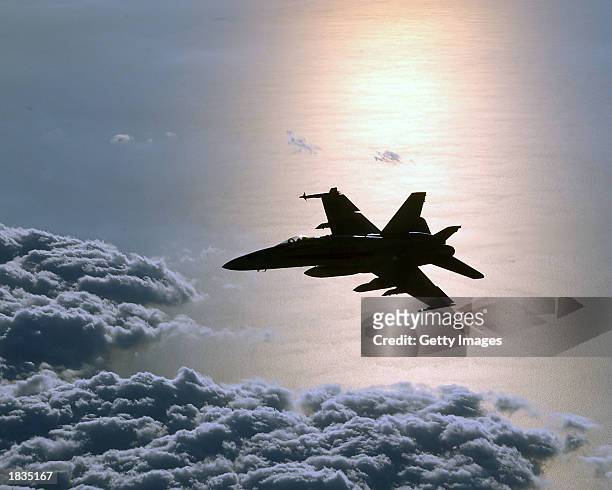 Navy F/A-18 Hornet, from Naval Squadron VFA-15, patrols over the eastern Mediterranean Sea March 1, 2003 while in flight. The United Nations Security...