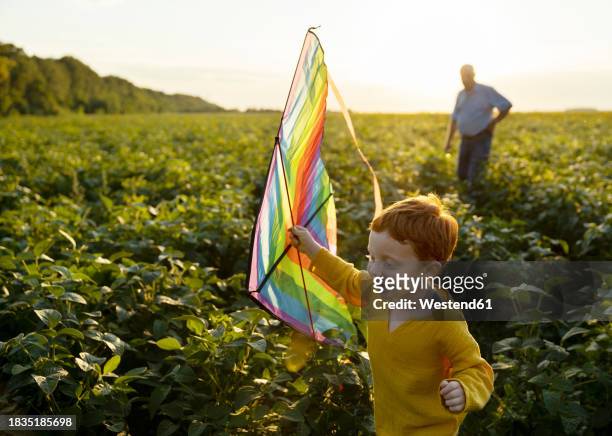 playful grandson holding kite with grandfather in background at agricultural field - light vivid children senior young focus foto e immagini stock