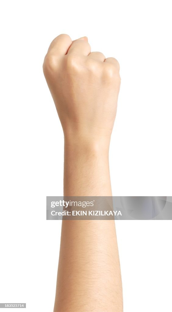 Isolated hand, fist