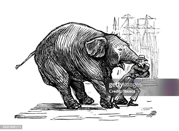 Neglected Example Cartoon 126 Neglect Cartoon Stock Photos, High-Res Pictures, and Images - Getty ...