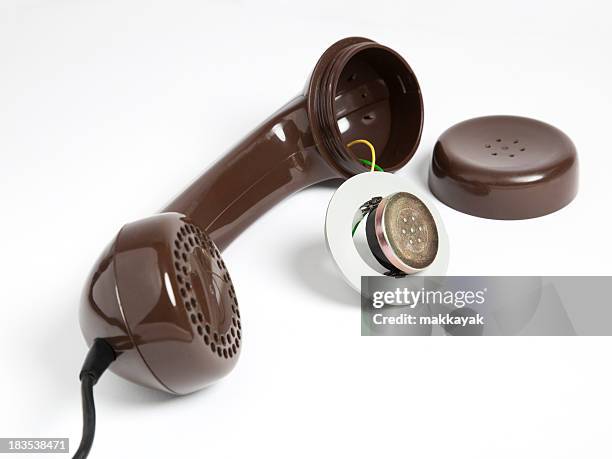 telephone wires - computer bug stock pictures, royalty-free photos & images