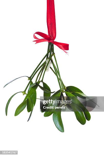 mistel bund - mistel stock-fotos und bilder