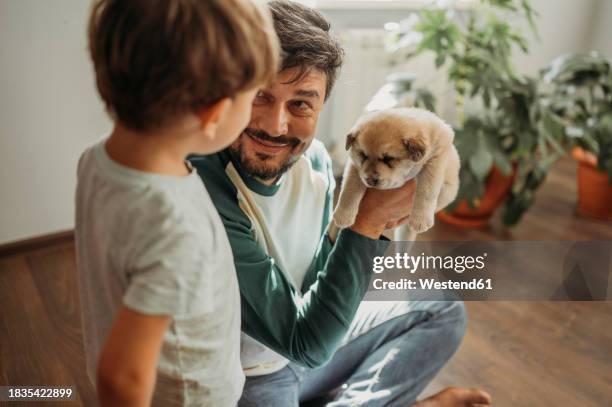 smiling man showing cute puppy to son at home - one animal stock pictures, royalty-free photos & images