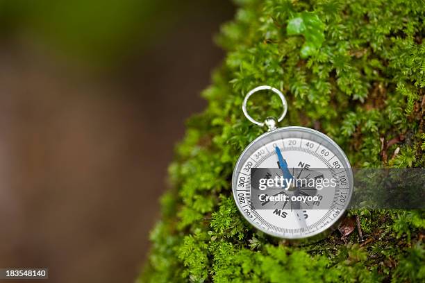 compass in a forest - north arrow stock pictures, royalty-free photos & images