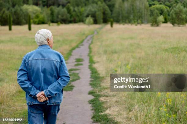 elderly man strolling on footpath at park - mãos-atrás-das-costas imagens e fotografias de stock