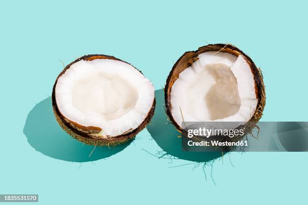 ilustraciones, imágenes clip art, dibujos animados e iconos de stock de halved coconut against blue background - coco fruta tropical