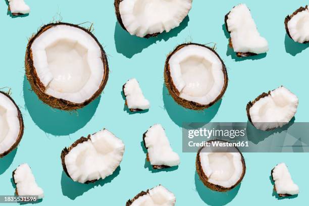 broken slices of coconuts arranged against blue background - coconut stock illustrations