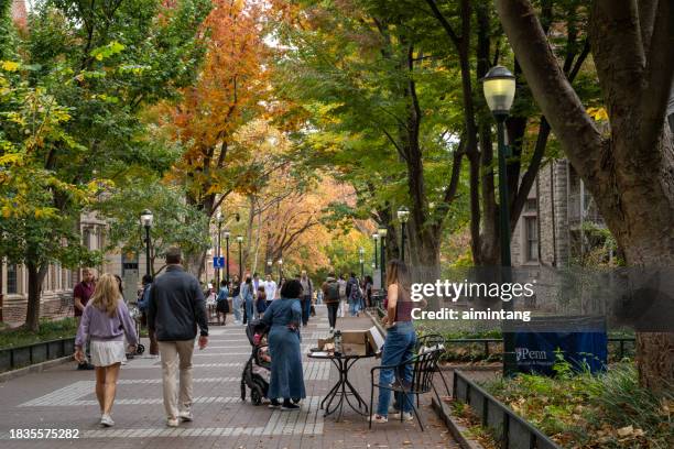 upenn campus im herbst - universität von pennsylvania stock-fotos und bilder
