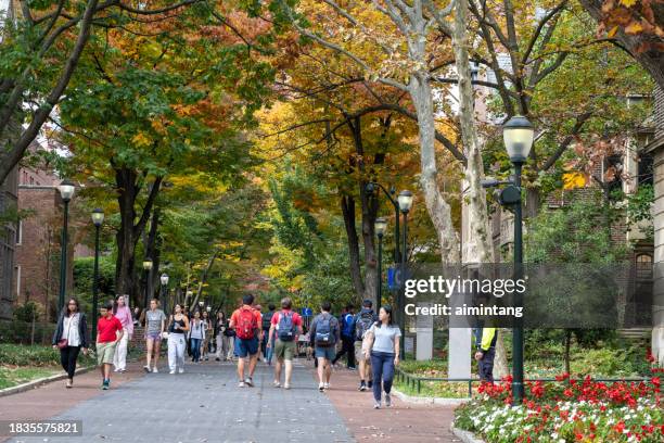 campus de upenn en otoño - universidad de pensilvania fotografías e imágenes de stock
