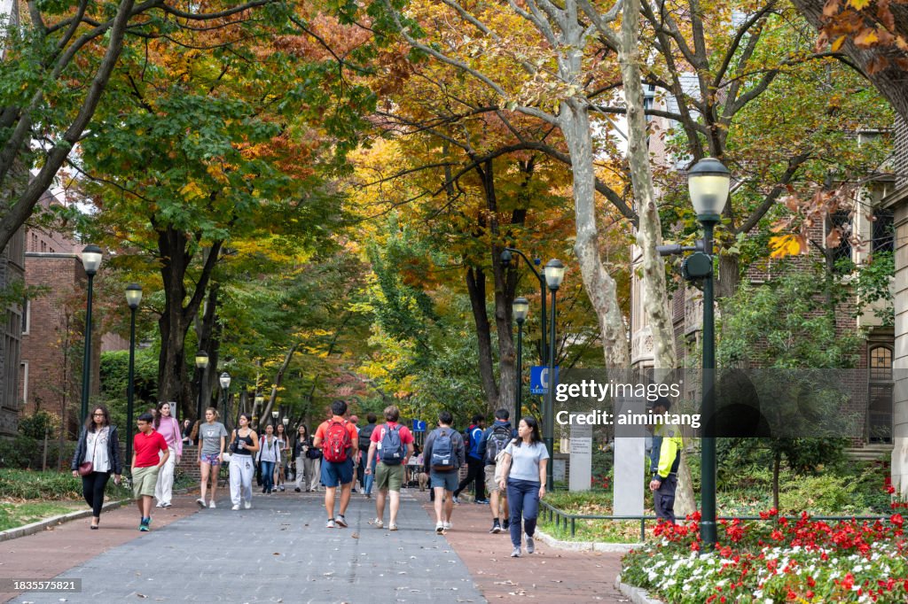 UPenn Campus in Autumn