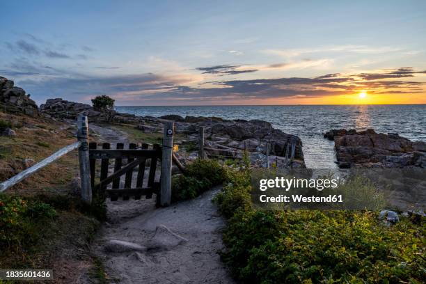 denmark, bornholm, coastal trail on island at sunset - bornholm beach photos et images de collection