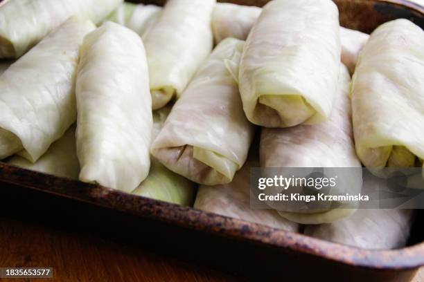 gołąbki - cabbage roll stock pictures, royalty-free photos & images