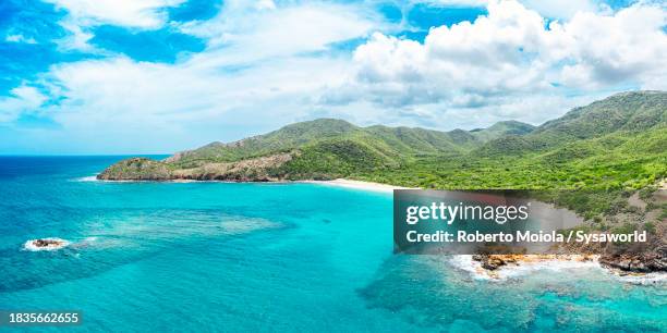 aerial view of idyllic beach in a tropical lagoon - west indies aerial stock pictures, royalty-free photos & images