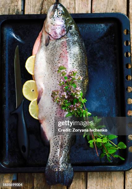 fresh trout on a wooden board - trout stock pictures, royalty-free photos & images
