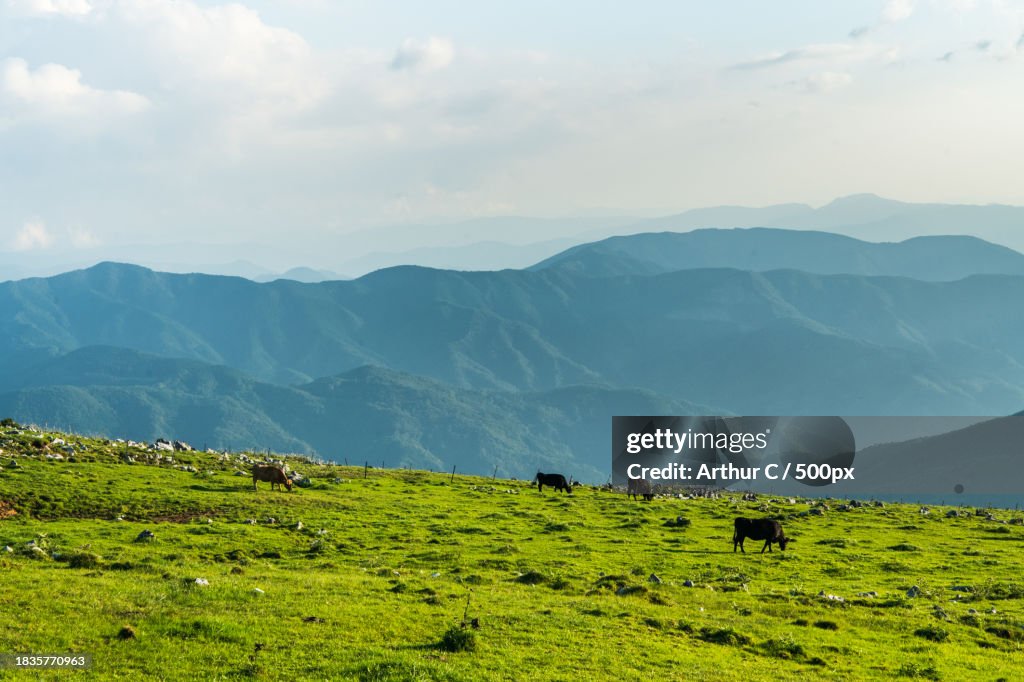 Scenic view of field and mountains against sky,Japan