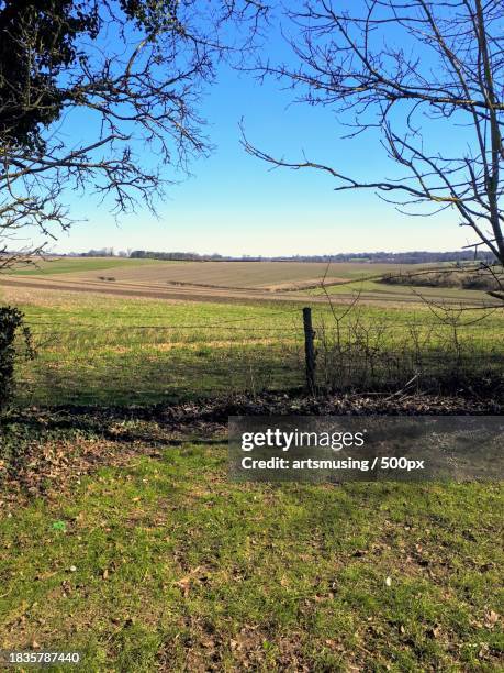 scenic view of field against clear sky,winchester,united kingdom,uk - winchester england stock pictures, royalty-free photos & images