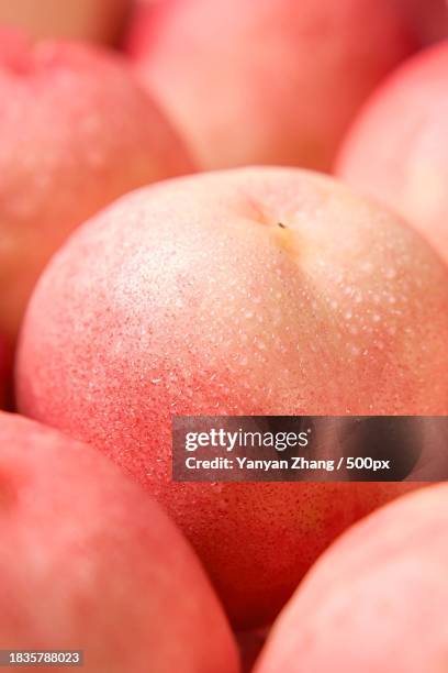 full frame shot of wet apples,ireland - wet juicy peach stock pictures, royalty-free photos & images