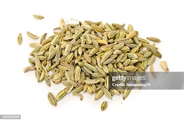 fenchel - seed stock-fotos und bilder