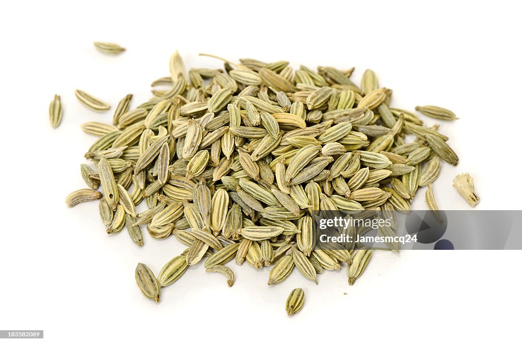 Fennel