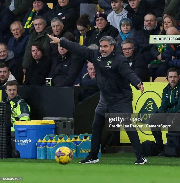 Norwich City manager David Wagner shouts instructions to his team from the technical area during the Sky Bet Championship match between Norwich City...