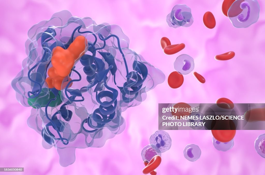 KRAS G12C oncogene product, illustration