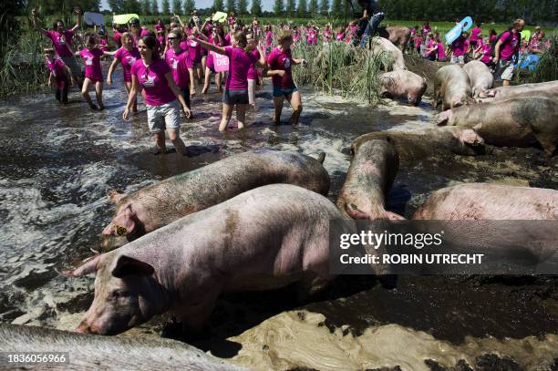 Two hundred people participate in the World Record attempt to get the most people ever in a pool of mud at the same time, in Esch, on July 18, 2010....