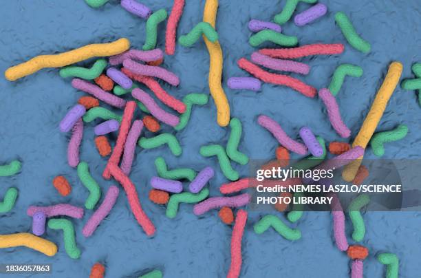 probiotic bacteria, illustration - enterococcus stock illustrations
