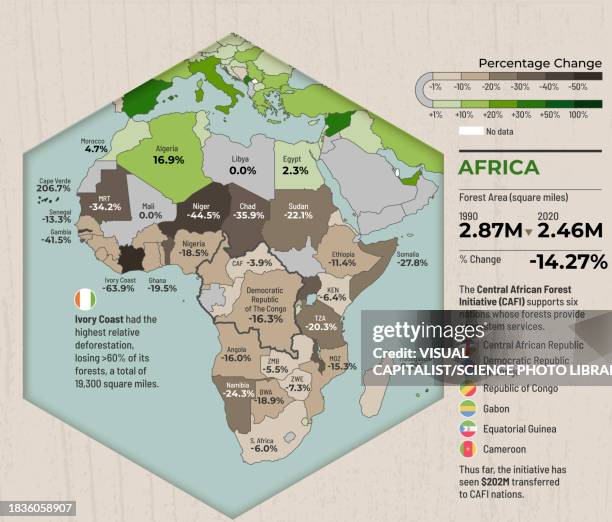 changes in forest area in africa, illustration - coverage map stock illustrations
