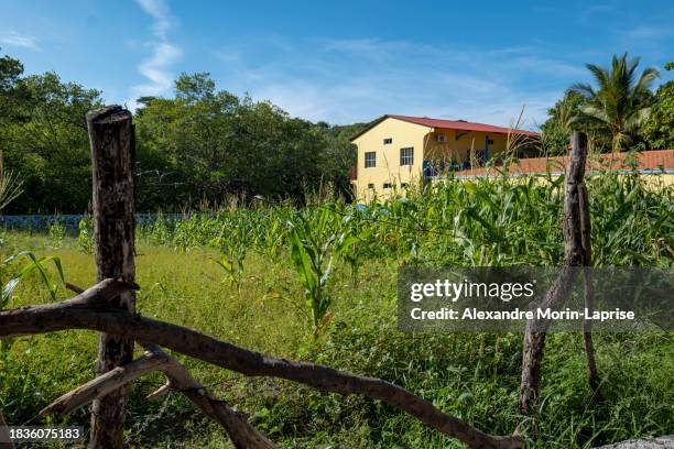 wooden fence in front of a corn field with barn and house by the woods in la union in salvador - salvadorianische kultur stock-fotos und bilder