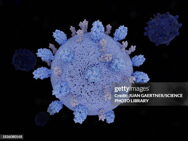 respiratory syncytial virus, illustration - paramyxoviridae stock illustrations