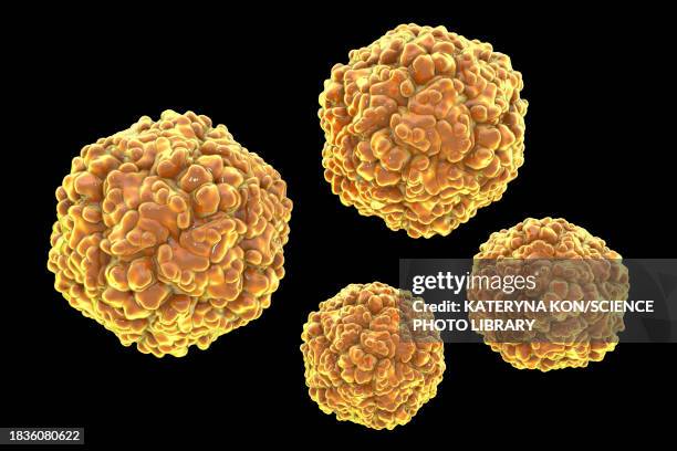 echo viruses, illustration - enterovirus stock-fotos und bilder