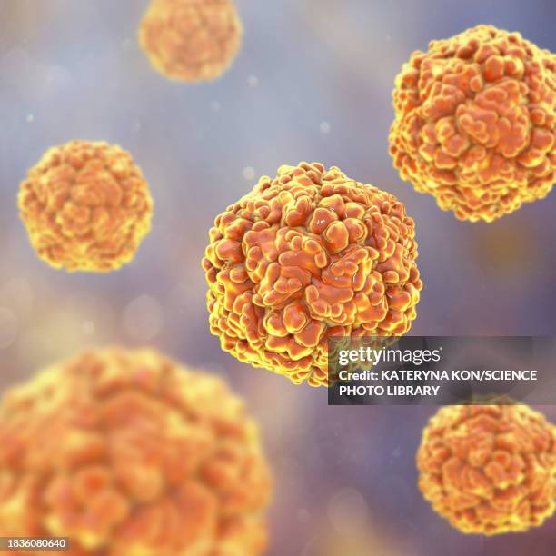 echo viruses, illustration - enterovirus stock-fotos und bilder